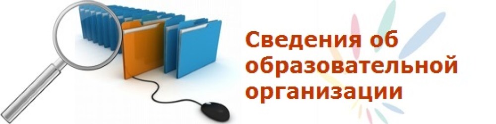 Сведения об образовательной организации